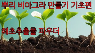 농작물 생산성 폭발 뿌리 비아그라 만들기 기초편  해초추출물 파우더 작물 뿌리를 건강하게 만드는 액비의 원재료 해조추출물 시베이지의 힘 [upl. by Ranite]