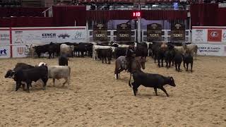 Third Edge amp Wesley Galyean mark a HUGE 229 in NCHA Super Stakes [upl. by Redmund]