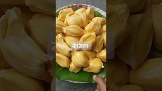 paka kathalRew jackfruit shorts vairal tranding jackfruit food foryou [upl. by Sirovart]