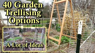 40 Garden Trellising Examples for Growing Vegetables Vertically All DIY Budget Friendly Options [upl. by Pearson]