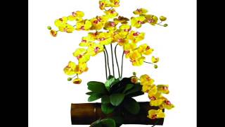 Set of 12 Phalaenopsis Stems Majestic in stature artificial flower stems phalaenopsis artificial [upl. by Cutlor905]