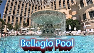 Bellagio Pool Top 10 Pool in Las Vegas [upl. by Iidnarb237]