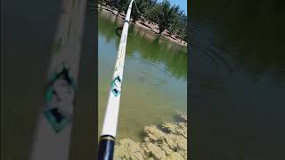 Yucaipa lake fishing 🔥🔥 [upl. by Anek49]