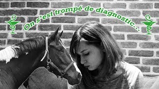 La maladie de mon cheval 2 ans quon se trompe [upl. by Adyan]