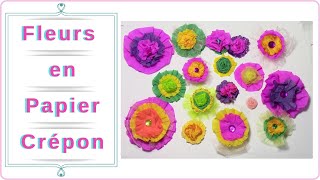 Fleurs en Papier Crépon et Tulle pour Décorer des Paquets Cadeaux ou Faire du Déco de Table [upl. by Elwyn]