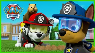 Drużynowe misje ratunkowe Psiego Patrolu  Psi Patrol PAW Patrol po polsku [upl. by Masha960]