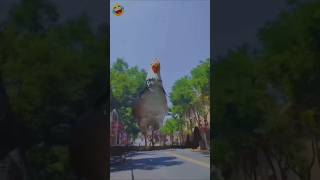 Itna bada Billi 🐈‍⬛ itna bada murga a Gaya 🐓 funny shorts statmrfanny comedy trending [upl. by Trawets]