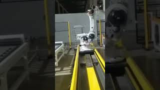 NKFs Featured Product Linear Rail🔧 supporting Efort robot for handling applications in debugging [upl. by Ratep]