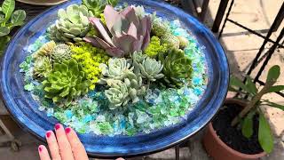 Transform Your Birdbath into a Stunning Succulent Paradise 💙💐🌼🌺🕊️ [upl. by Sverre]