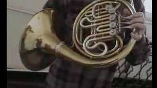 FRITZ WEISE FRENCH HORN TEST [upl. by Eevets]