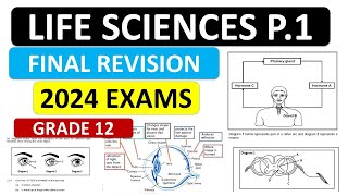 LIFE SCIENCES GRADE 12 P1  GRADE 12 LIFE SCIE P1 GRADE 12 FINAL EXAMS NOVEMBER PREP THUNDEREDUC [upl. by Ugo]