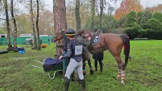 Camille LEJEUNE  DAME DECOEUR TARDONNE Après cross Pau 2024 [upl. by Haven]