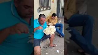 Almoço Diferente Dois Jovens Saboreando Jaca Mole na Cidade de JUSSARI Bahia Brasil [upl. by Tloh]