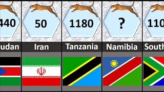 Cheetah Population Country Wise [upl. by Ahsinrats]