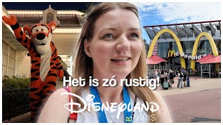 DISNEYLAND PARIS VLOG JULI 2024  MET DE KINDEREN IN DISNEYLAND PARIS VEEL ATTRACTIES amp MCDONALDS [upl. by Labina]