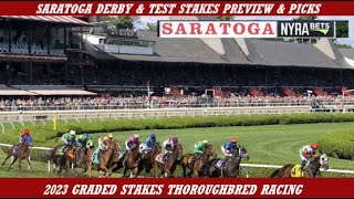 2023 Saratoga Stakes Saratoga Derby TEST Preview amp Picks [upl. by Lac692]