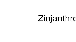 How to pronounce Zinjanthropus [upl. by Aihgn]