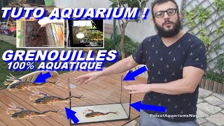 TUTO aquarium sans filtre à Grenouille  Nano marais hymenochirus curtipes Pascal Aquariums Naturels [upl. by Ursas]