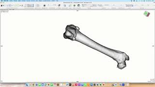 Measuring the Anteversion angle of the femur Dog [upl. by Notxam]