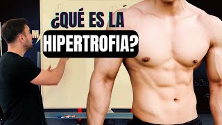 ¿Qué es la HIPERTROFIA MUSCULAR y Cómo se logra 🔥 ¿Cómo aumentar la masa muscular [upl. by Rats]