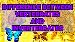 Difference between vertebrates and invertebrates  chordates and non chordates difference [upl. by Adnolehs]