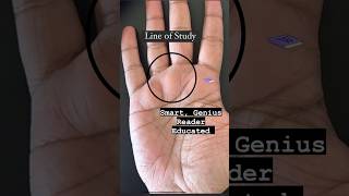 Palmistry  The line of study and smartness reels best videos instagood [upl. by Ayocat227]