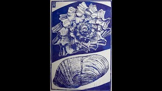 GM Shell Linocuts 1 [upl. by Walls]