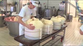 Formaggio Parmigiano Reggiano la lavorazione del Caseificio Agricolo del Milanello Terre di Canossa [upl. by Kreda]