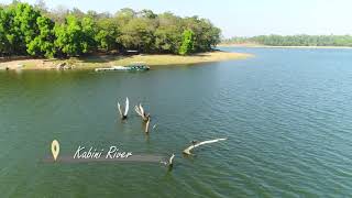 Kabini Lodge Jungle lodges and resorts [upl. by Alyos]