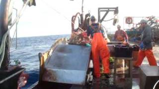 crab fishing on the fv benthic mariner [upl. by Aivatnuahs353]