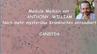 🙏 CANDIDA  noch mehr mysteriöse Krankheiten entzaubert 🙏 ❤️ANTHONY WILLIAM❤️ Werbevideo [upl. by Naillimxam257]