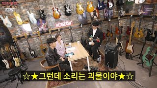 YB 박태희가 말하는 록 전문 베이스 앰프 AMPEG Micro CL [upl. by Eidlog]