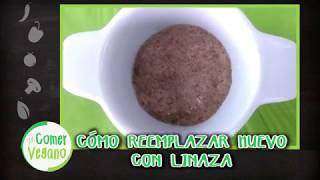 CÓMO REEMPLAZAR 1 HUEVO CON LINAZA  Comer Vegano [upl. by Tadio]