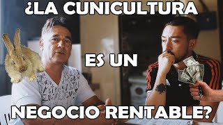 ¿Cómo hacer de la CUNICULTURA un NEGOCIO RENTABLE [upl. by Marienthal535]