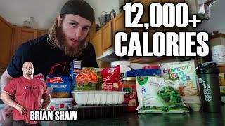 Teenager vs Worlds Strongest Man Diet Challenge 12000 Calories [upl. by Rush30]