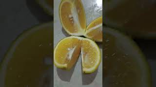 Mosambi cuttingyoutubeshorts cuttingskils fruitcutting [upl. by Dickman452]