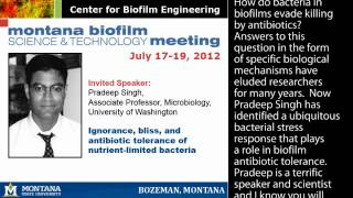 Biofilm meeting July 2012 Biofilm antibiotic tolerance [upl. by Caterina495]