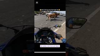 ওহ আল্লাহ গোরুটা কতোটা কষ্ট পাইচে😭😭😭 automobile bikereactions motorcycle motovlog bikerreaction [upl. by Faus]