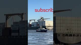 Horns 📯📯shipping youtubeshorts cruiseship youtubevideo subscribers shotrs travel cargoship [upl. by Alam331]