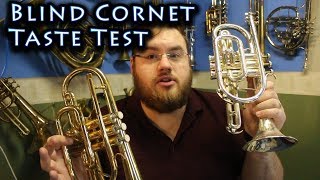 Cheap and Expensive Cornet Blind Taste Test [upl. by Tersina]