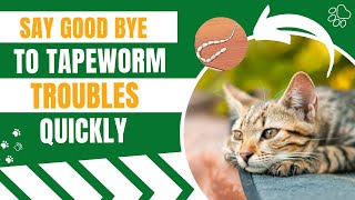 Best Remedies To Treat Tapeworm In Cats [upl. by Lahpos]