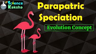 PARAPATRIC SPECIATIONIn Hindi  CSIR NET  EVOLUTION  GATE [upl. by Burck]