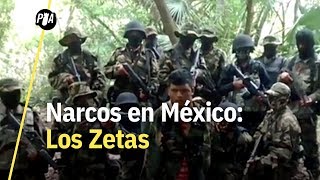 Los Zetas ¿cuál es el origen y el peso de este cártel [upl. by Adle]