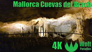 Mallorca Höhle in Spanien Cuevas del Drach Coves del Drac [upl. by Nauqes835]