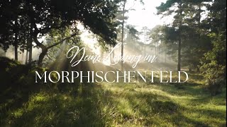 Deine Lesung im Morphischen Feld [upl. by Stephenson]