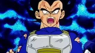 DbzVegetas apology [upl. by Burn]