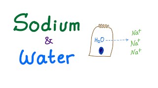 Sodium and Water  Electrolytes  Osmosis  Osmotic Pressure  Fluids and Electrolytes Series [upl. by Adnohral651]