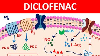 Diclofenac Tablets amp gel  New mechanism precautions amp side effects [upl. by Leahcimnoj]