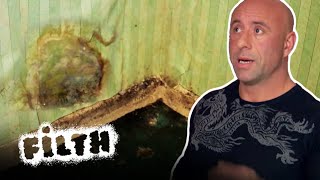 Home is Covered in Suspicious Mold  Obsessive Compulsive Cleaners  Episode 3 Part 1  Filth [upl. by Pride680]