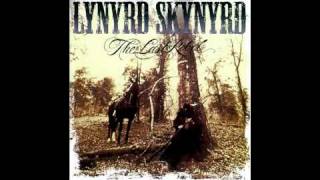 Lynyrd Skynyrd  Born to Run [upl. by Hyman]